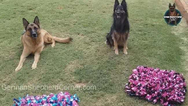 DIY Wooly Snuffle Mat