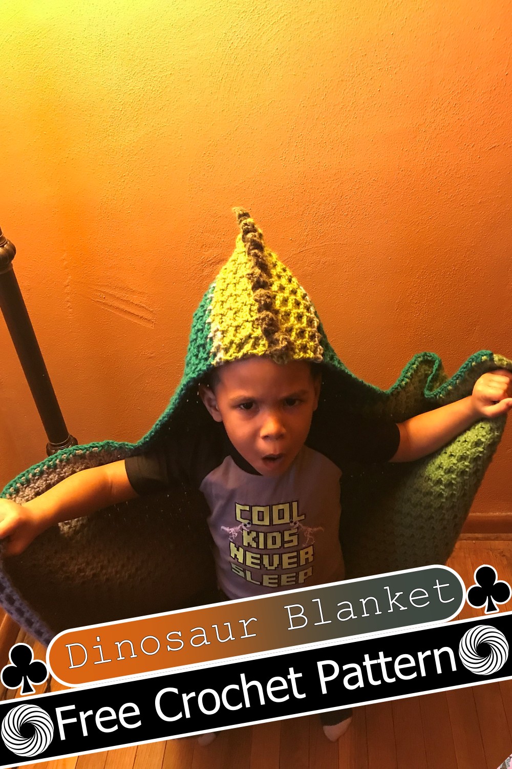 Dinosaur Blanket