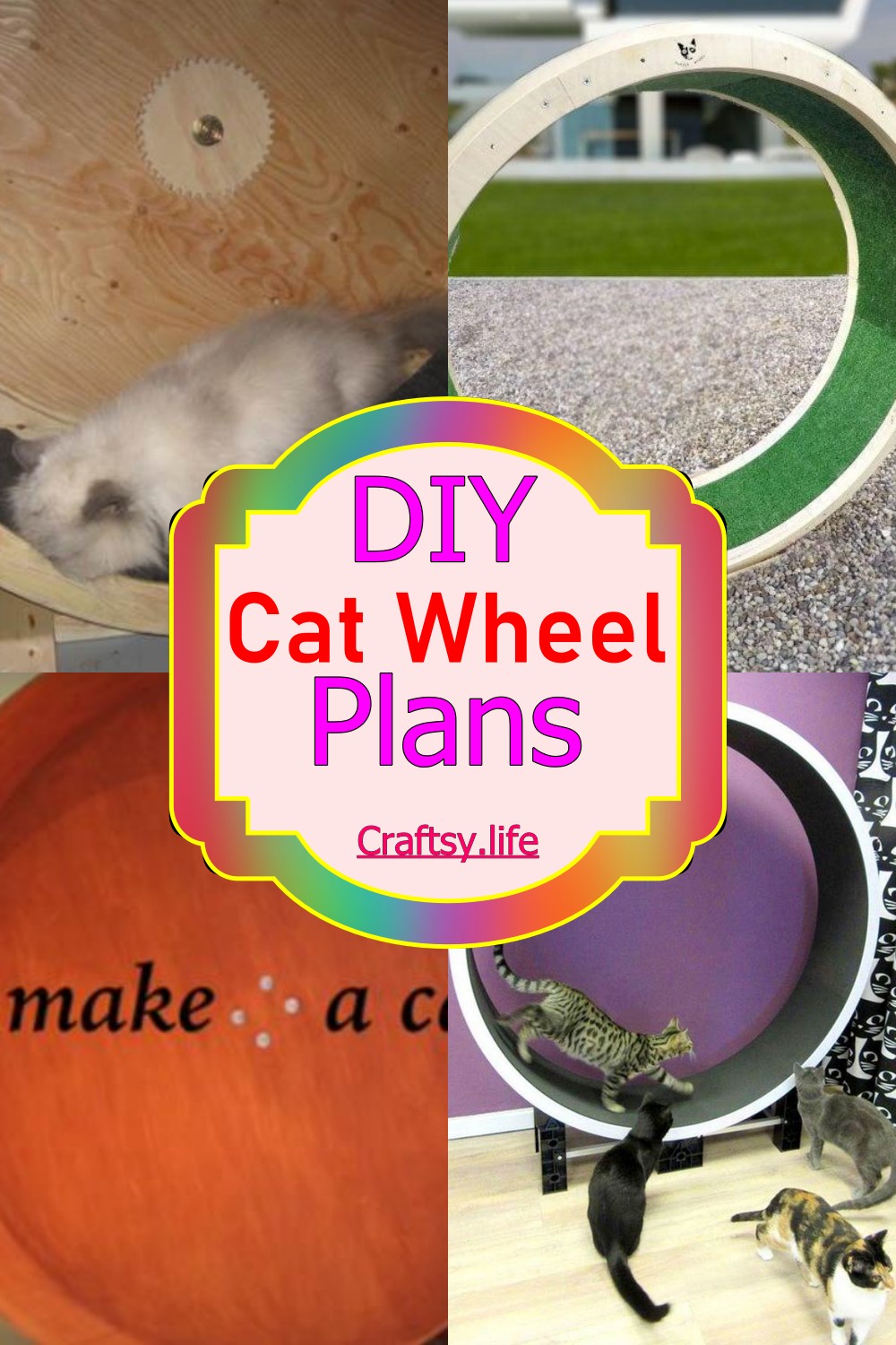 diy cat wheels