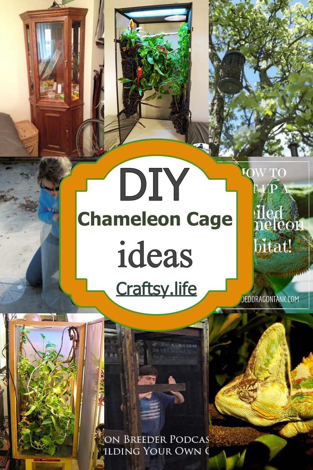 Chameleon Cage Ideas
