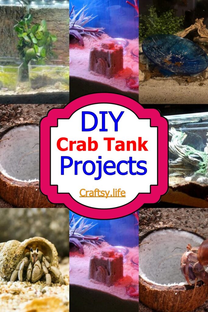 15 Easy DIY Hermit Crab Tank Projects Craftsy