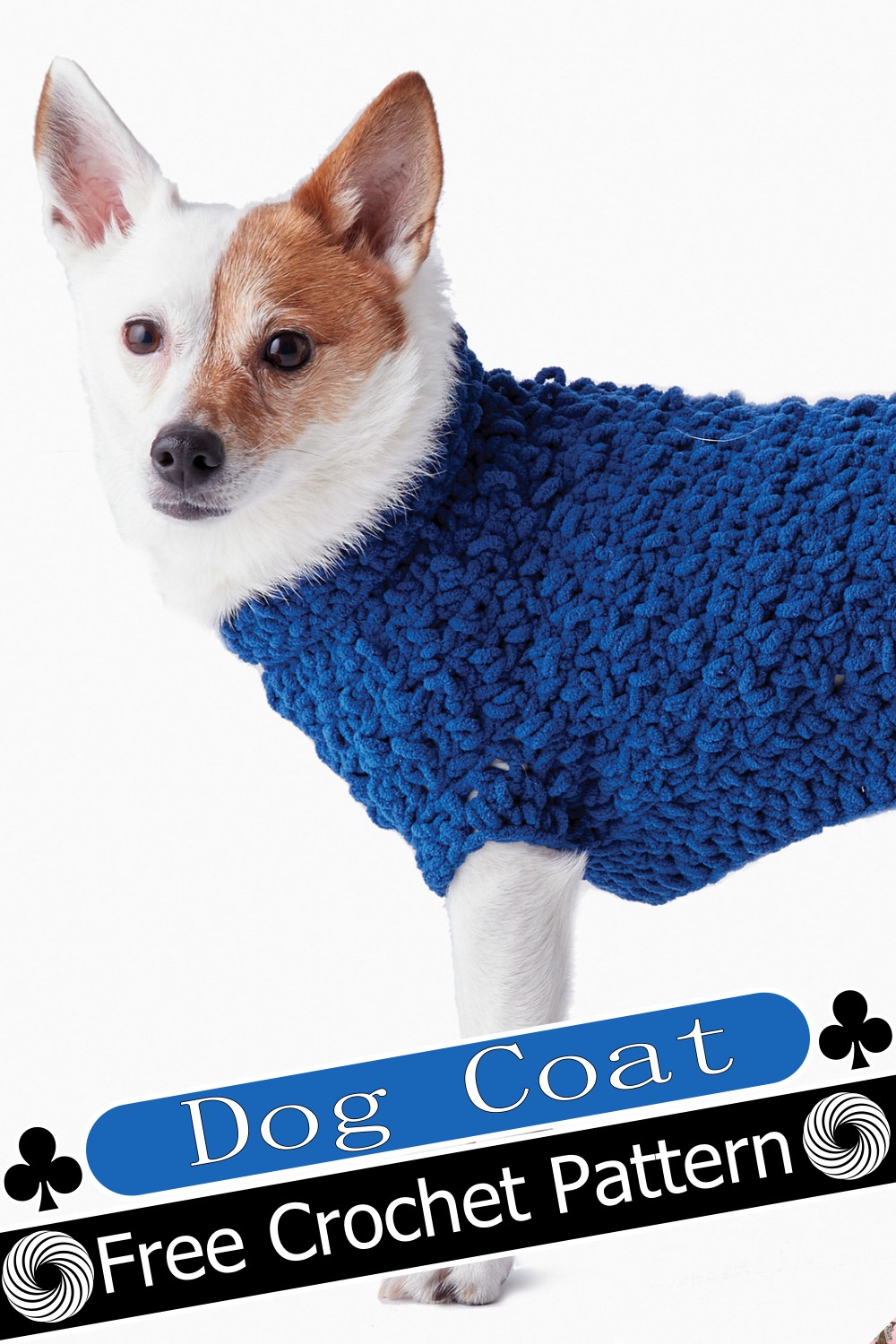 Dog Coat