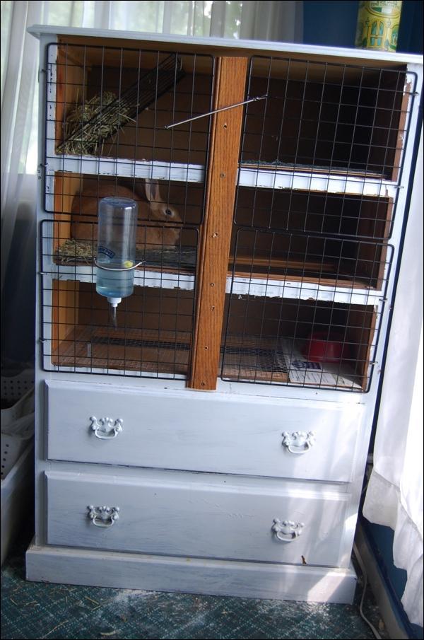 Dresser To Bunny Cage