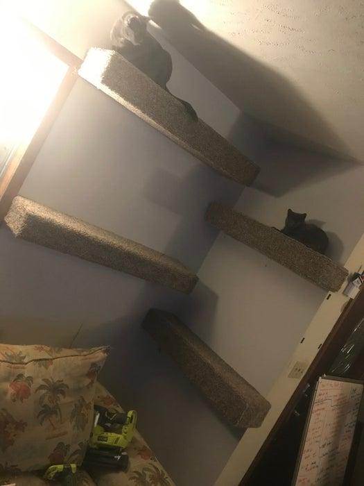 Floating Cat Shelves DIY