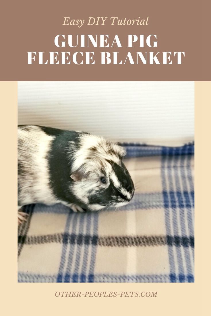 Guinea Pig Fleece Blanket
