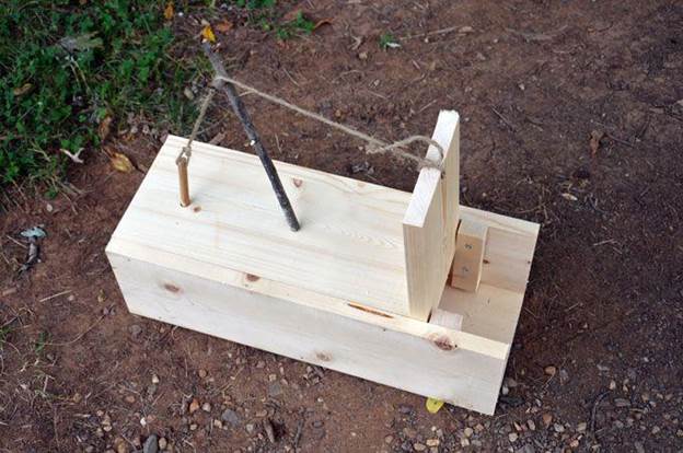 How To Build A Box Trap For Squirrel