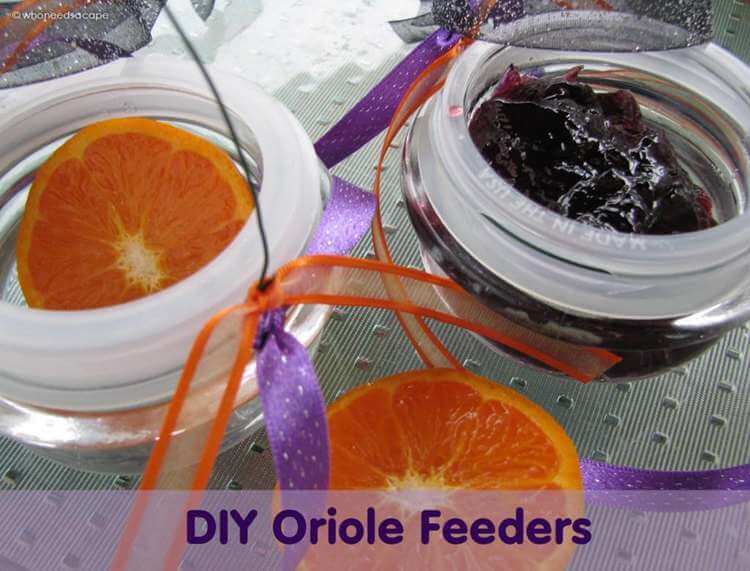 How To Build A DIY Oriole Feeder