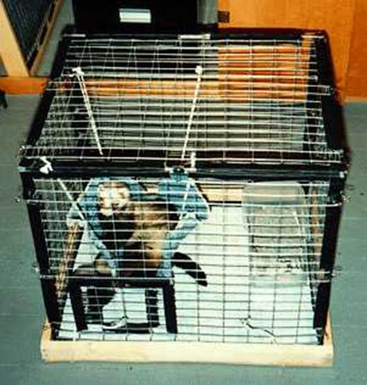 How To Build A Travel Cage for pet