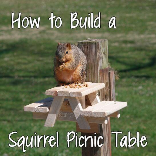 How To Build A Squirrel Picnic Table