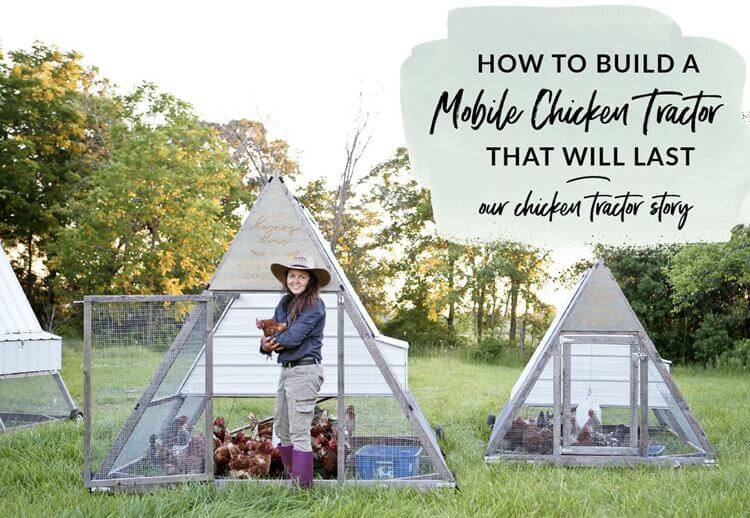 How To Build An A-Frame Chicken Tractor