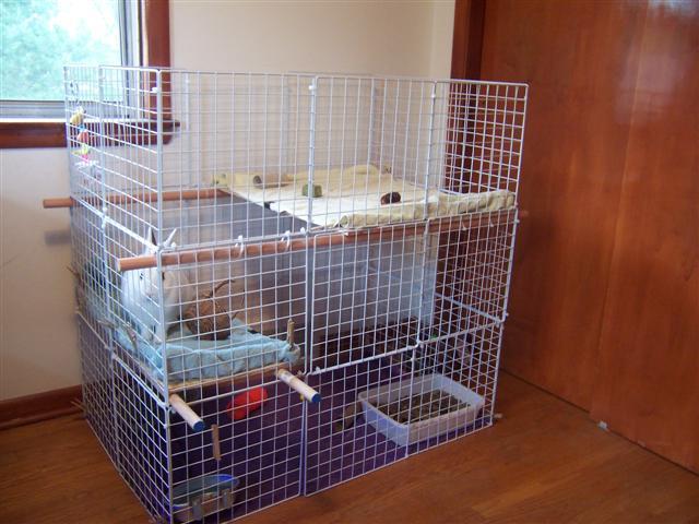 How To Make A Bunny Cage