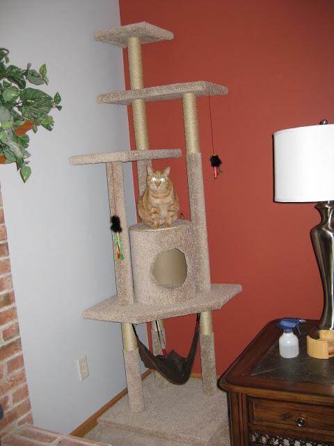 How To Make A Cat Tree From Home