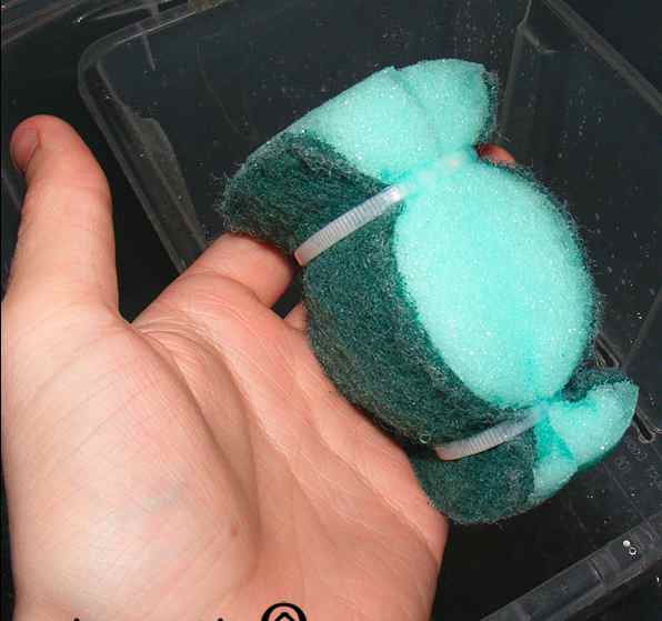 How To Make A DIY Sponge Filter