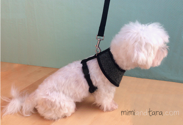 How To Make A Fabric Dog Harness