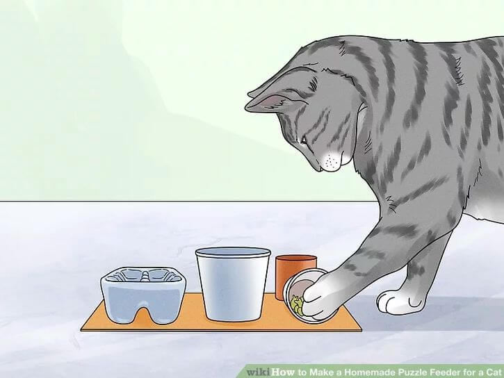How To Make A Homemade Puzzle Feeder For Cat