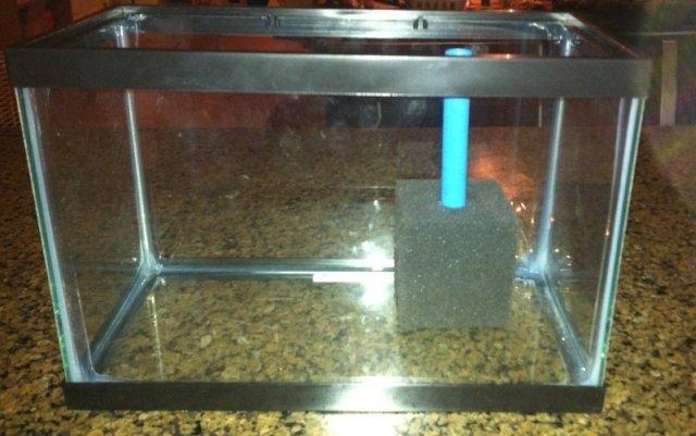 How To Make Filter For Your Aquarium