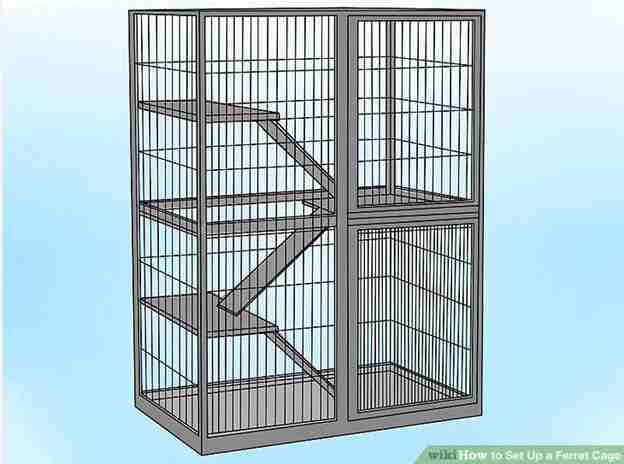 How To Setup A Ferret Cage