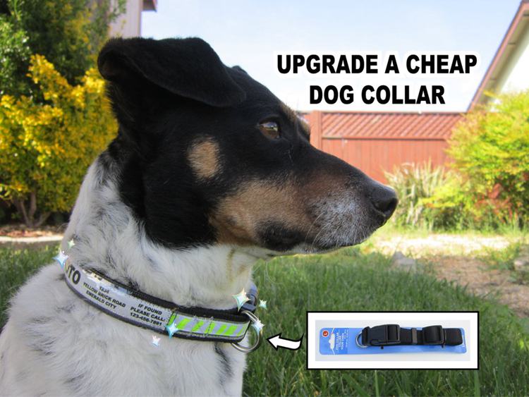 How To Upgrade A Cheap Dog Collar