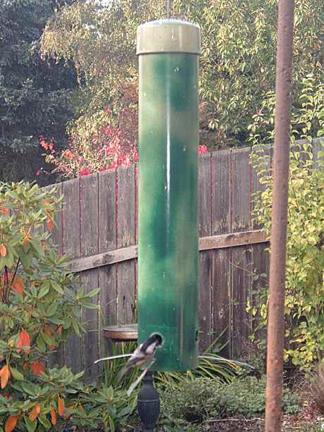 How to Build a "Flexi-Perch'' Squirrel-proof Bird Feeder for $10 or Less