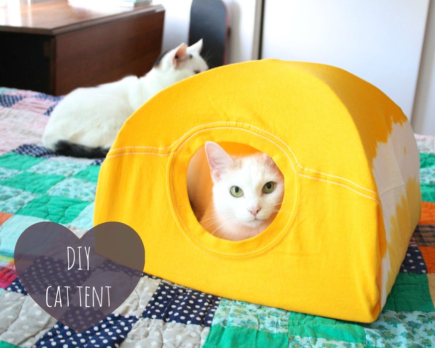 Indoor Cat Tent