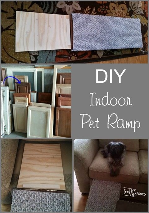 Indoor Ramp for Pets