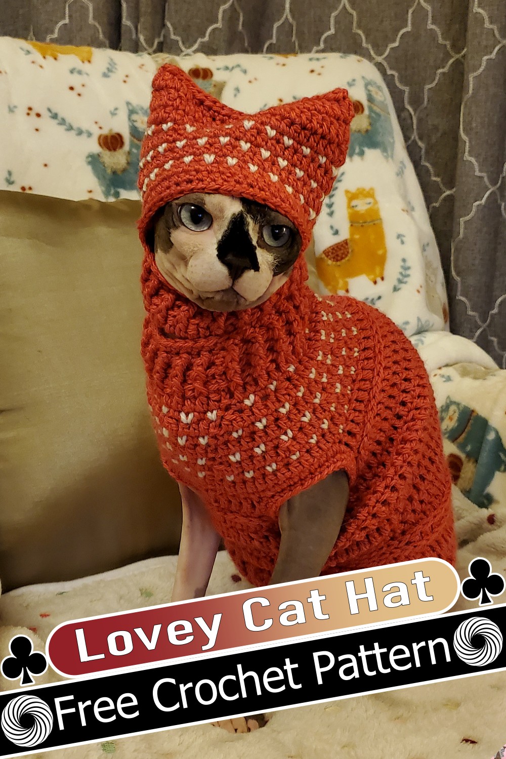 Lovey Cat Hat