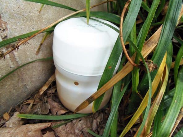 Outdoor Ant Bait Trap