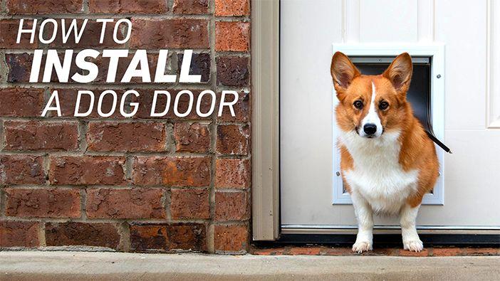 Pet Door Installation