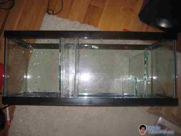 Saltwater Sump Tank