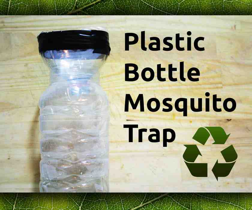 Simple Bottle Trap