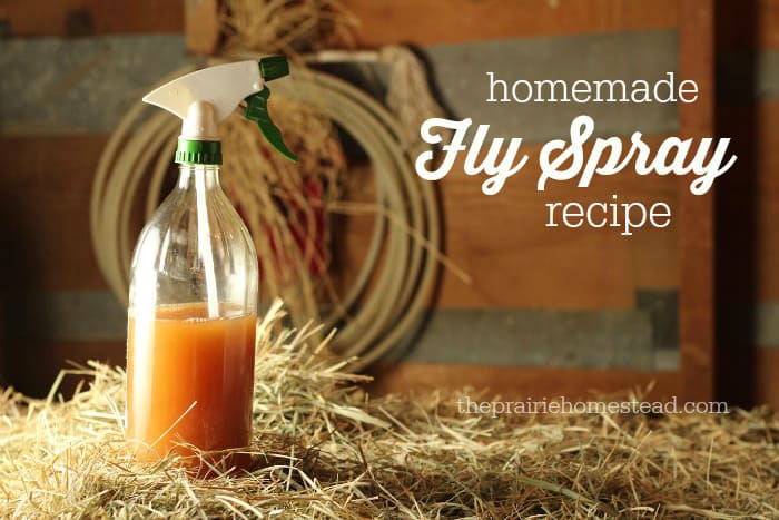 Simple Fly Spray Recipes