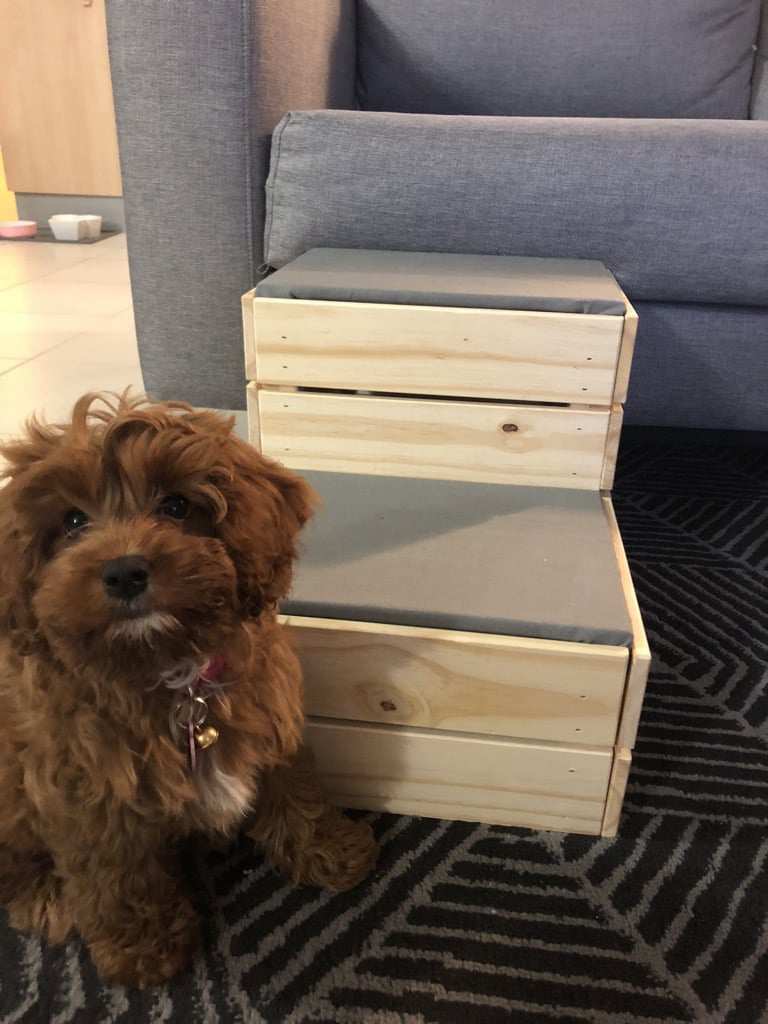 Stepped Ramp for Smaller Dog