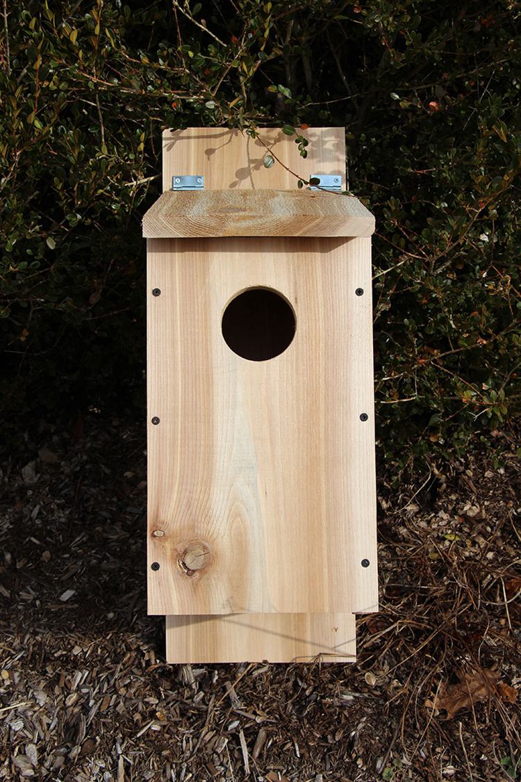 Owl home With Cedar Board