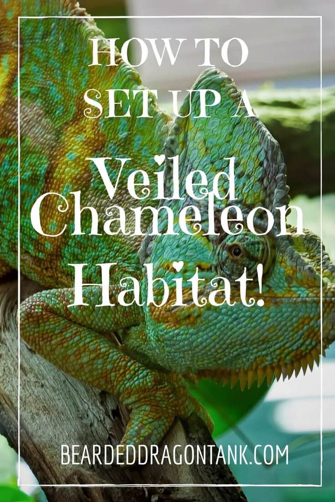 Veiled Caging for Chameleon