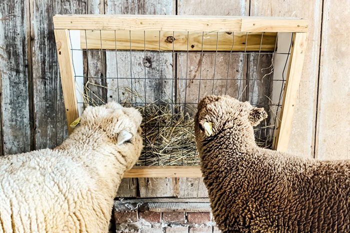 Wall-Mounted Hay Feeder