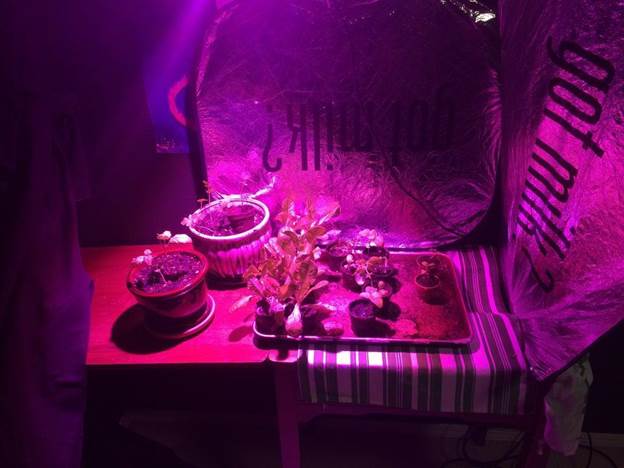 100W LED Grow Light