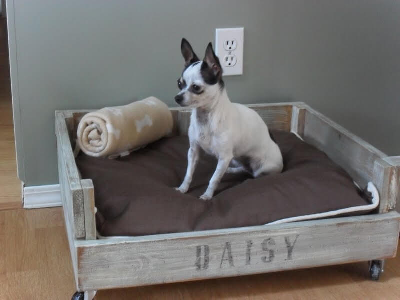 Durable DIY Pet Bed