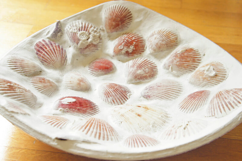 Beautiful Scallop Shells in a Bowl
