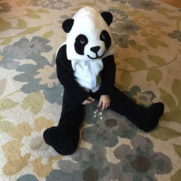 DIY Panda Costume