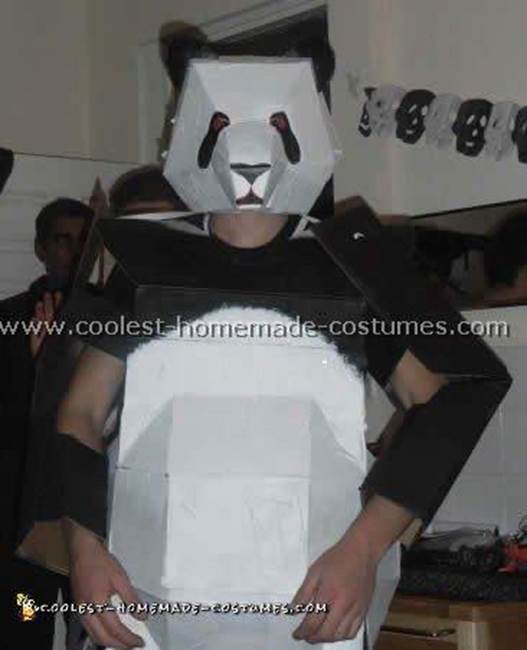 Homemade Panda Costume