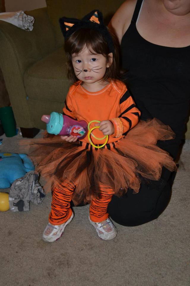 DIY Tiger Halloween Costume for Kids