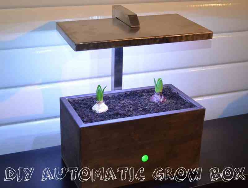 Automated Grow Box