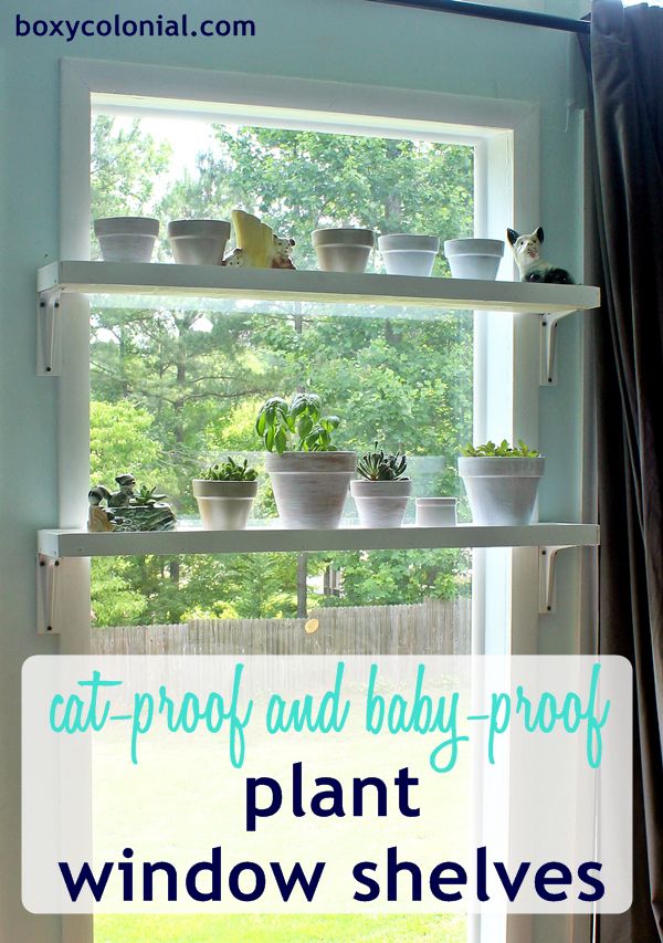 DIY Window Plant Shelf Cat Proof