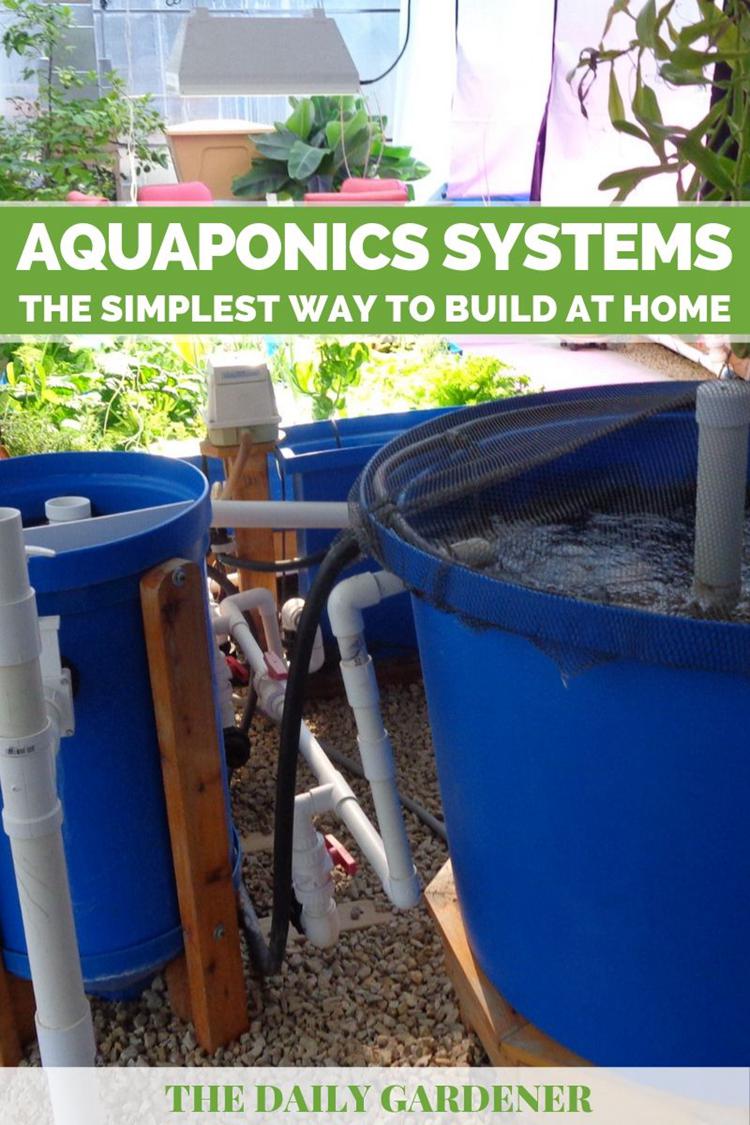 DIY Aquaponics System