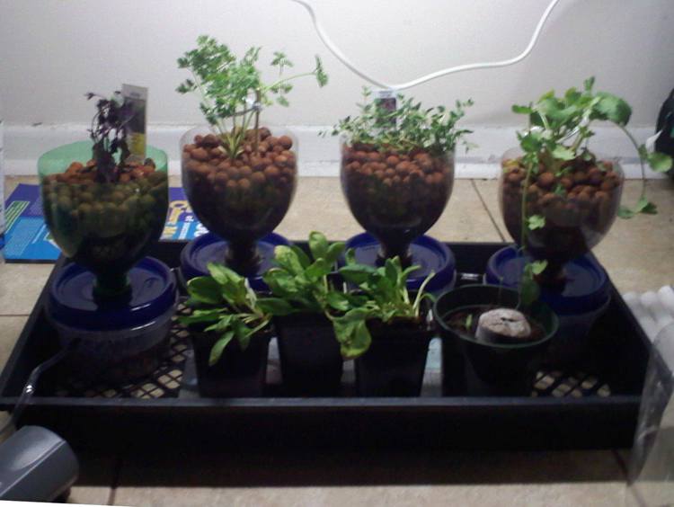 Cheap System for indoor planting