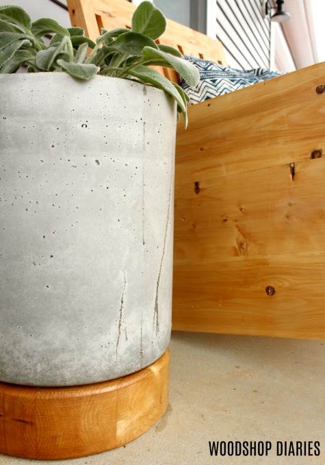 DIY Concrete Planter