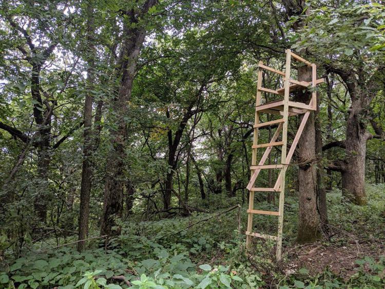 Blind Wooden Ladder Stand