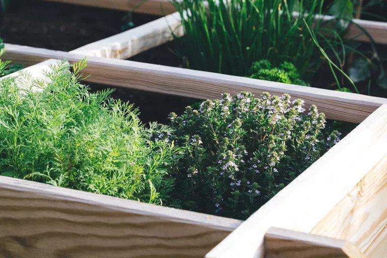 DIY Garden Box