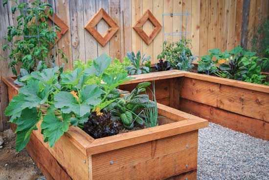 DIY Garden Box
