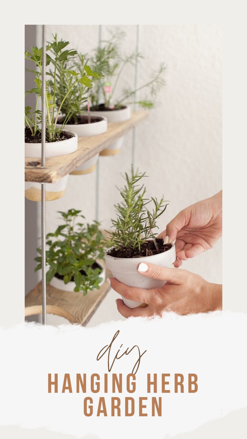 DIY Hanging Herb Garden Tutorial